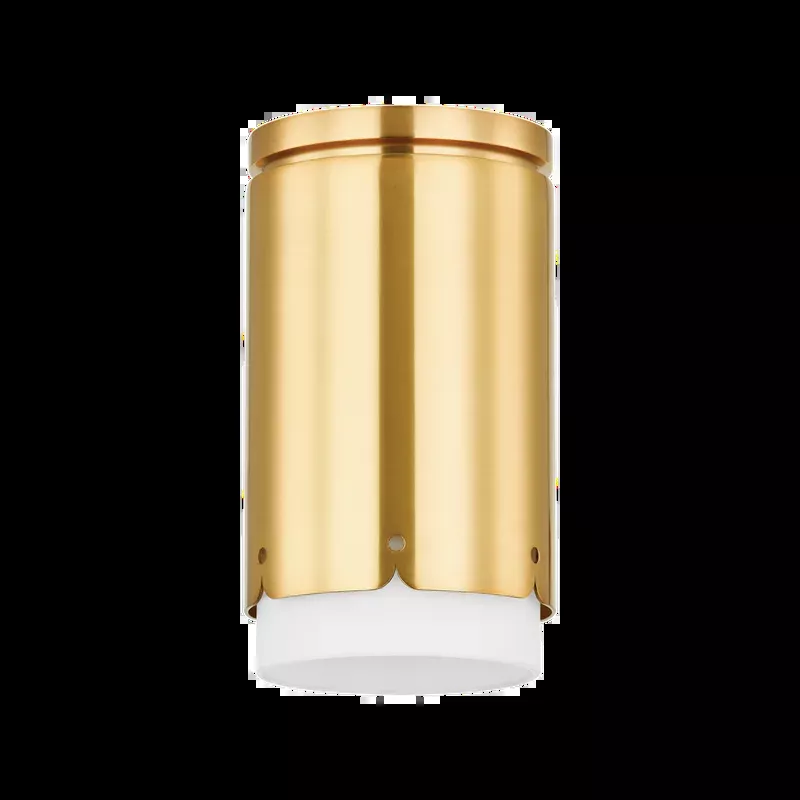 Asa Flush Mount