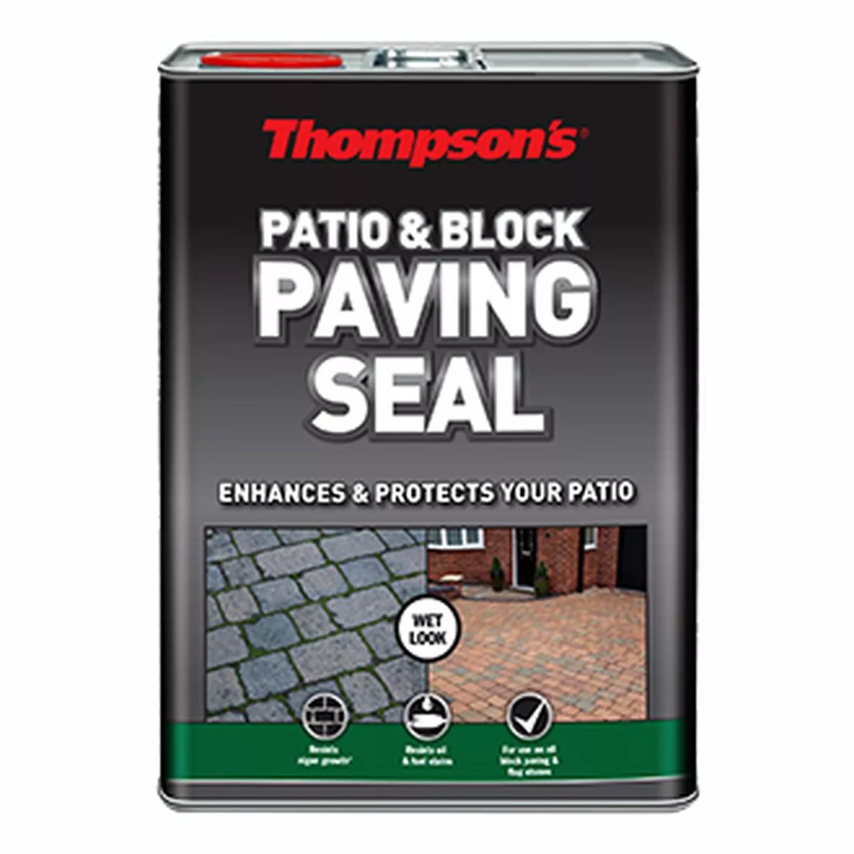 Thompson's Satin Look Patio & Block Sealer 5Lt
